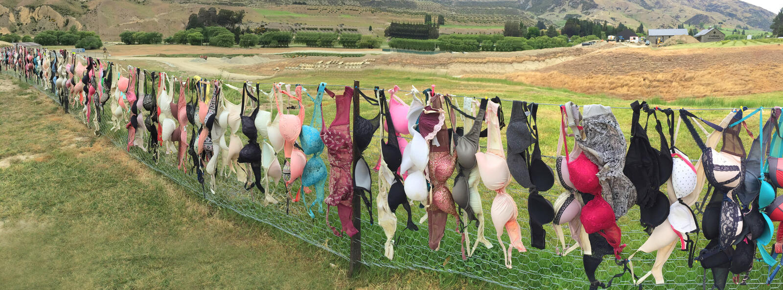 Click image for larger version

Name:	bradrona.jpg
Views:	122
Size:	302.0 KB
ID:	157136