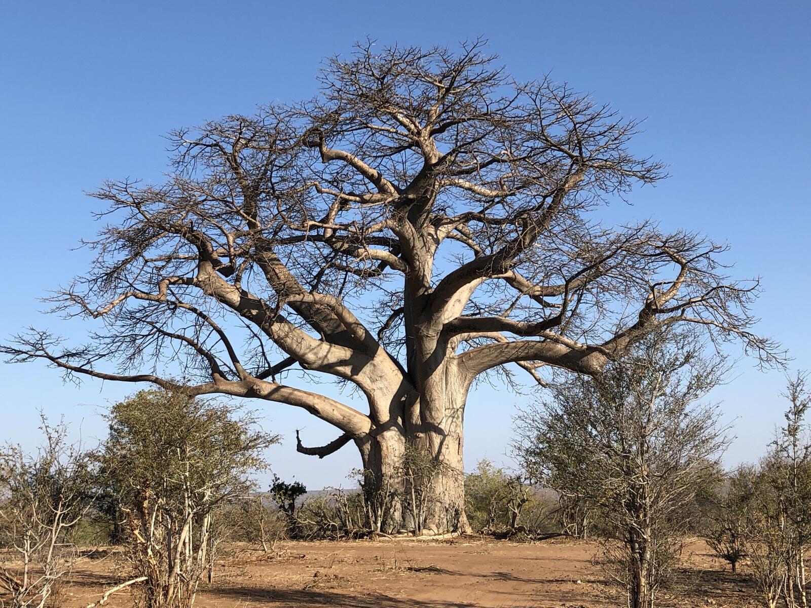 Click image for larger version

Name:	IMG_2422.JPG
Views:	110
Size:	500.8 KB
ID:	157164