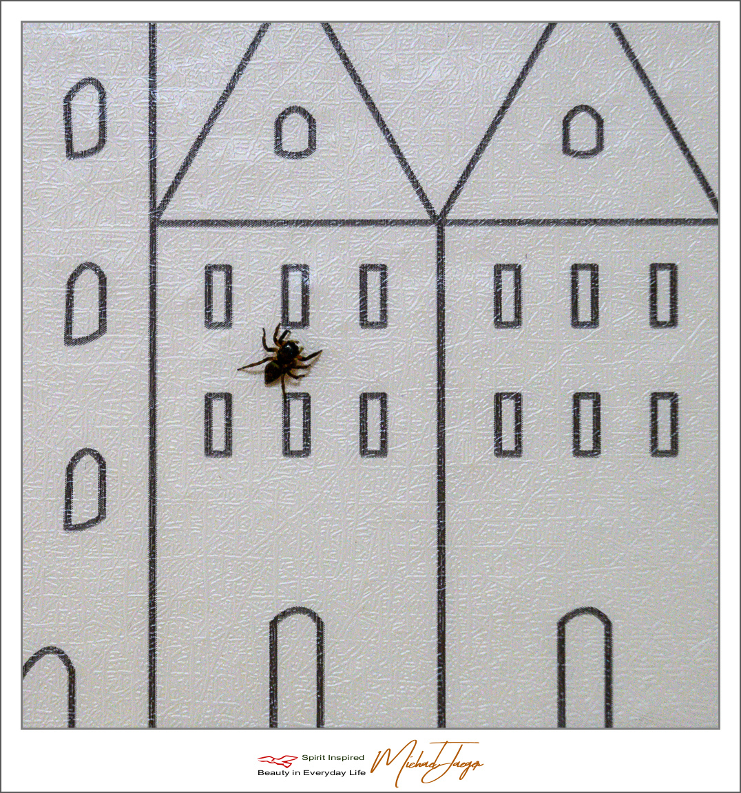 Click image for larger version

Name:	spider-4.jpg
Views:	111
Size:	1.31 MB
ID:	157178