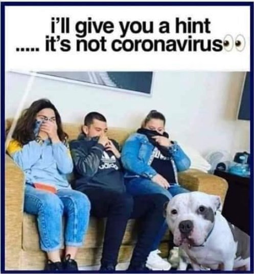 Click image for larger version

Name:	1 rona majorgeeks.jpg
Views:	70
Size:	48.8 KB
ID:	157202