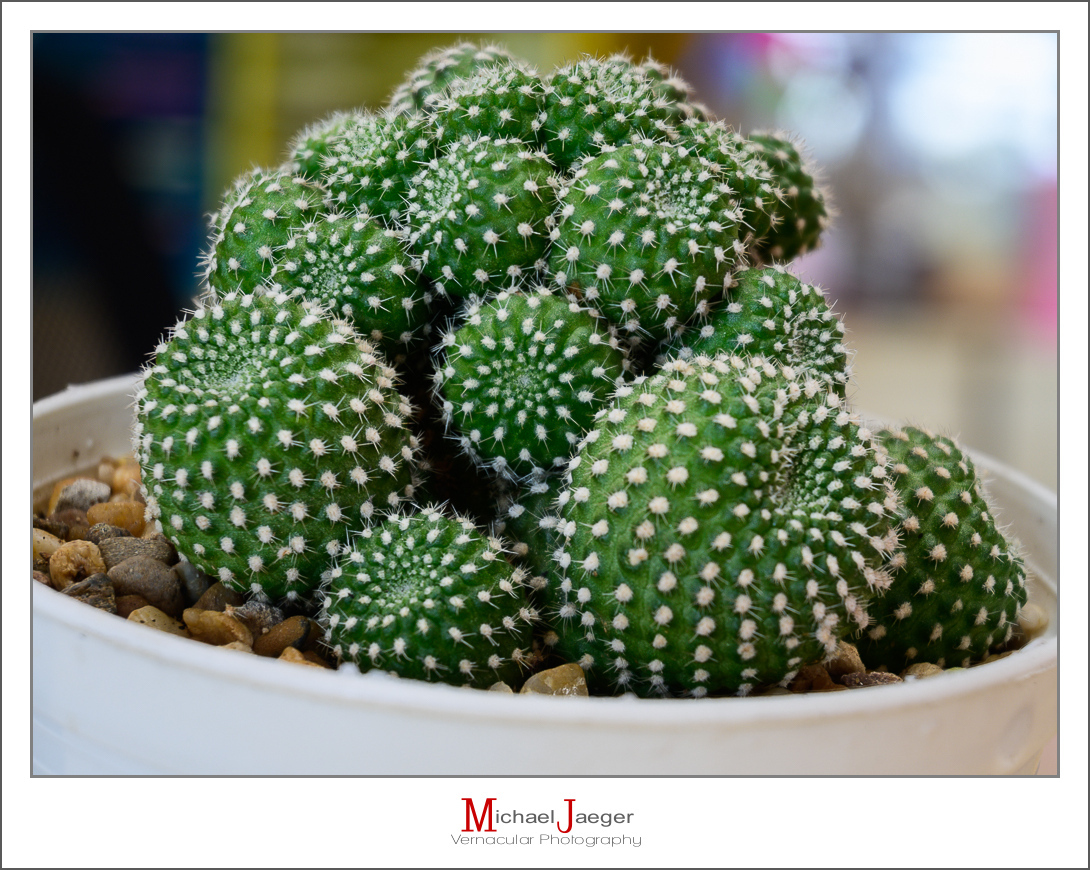 Click image for larger version

Name:	blossom-1-2.jpg
Views:	51
Size:	606.3 KB
ID:	157224