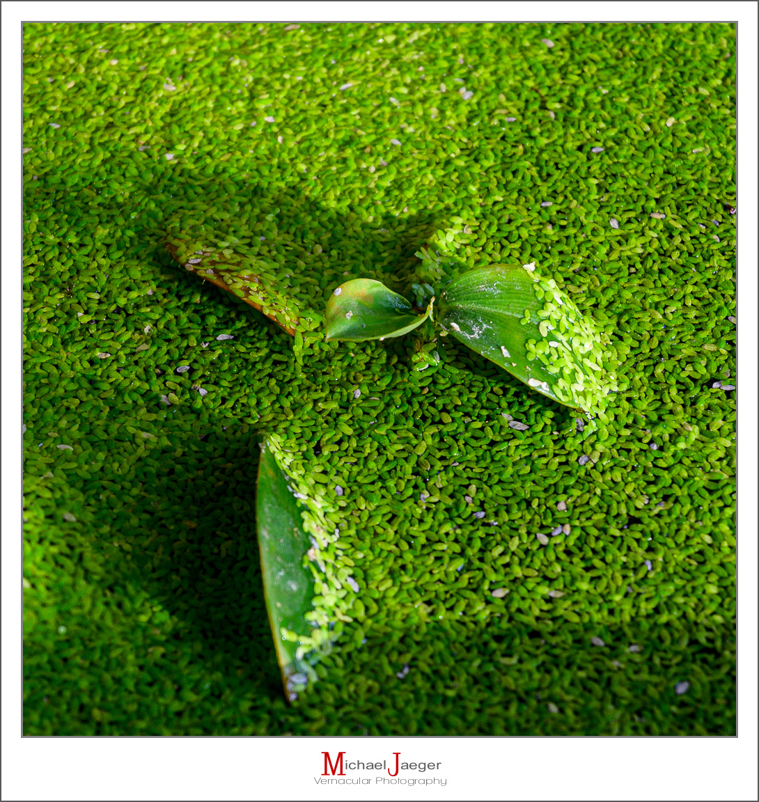 Click image for larger version

Name:	quicksand-1.jpg
Views:	113
Size:	1.21 MB
ID:	157232