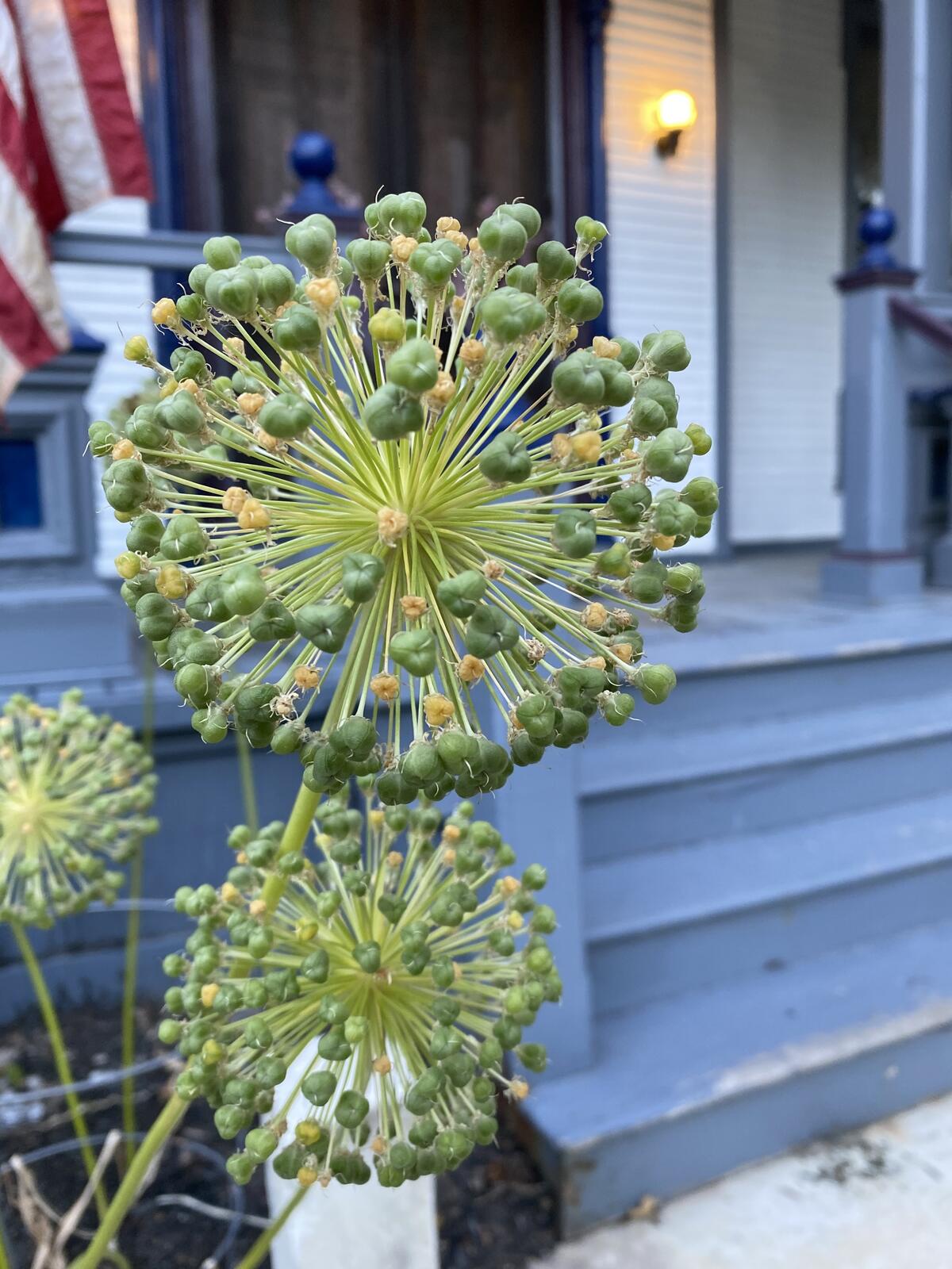 Click image for larger version

Name:	Victorian Inn.jpg
Views:	53
Size:	233.5 KB
ID:	157234