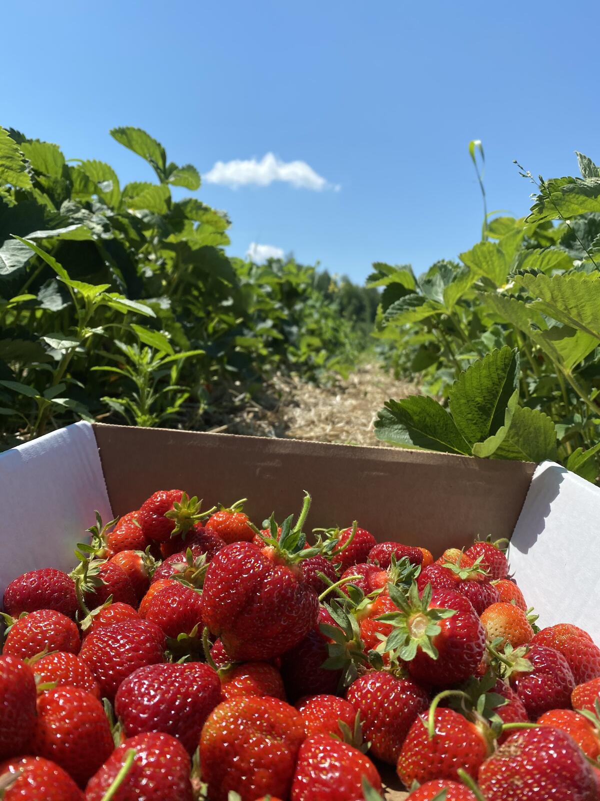 Click image for larger version

Name:	IMG_0477.JPG
Views:	47
Size:	264.6 KB
ID:	157235