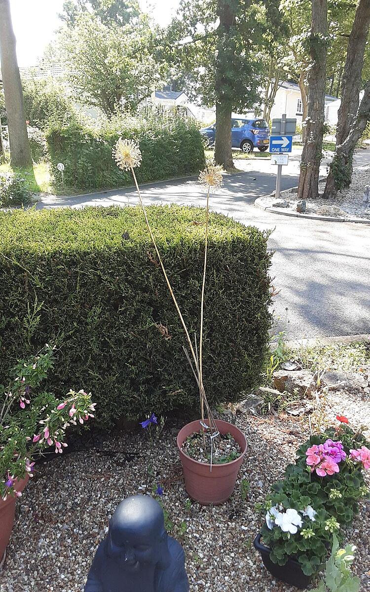 Click image for larger version

Name:	20200624_091955.jpg
Views:	82
Size:	534.3 KB
ID:	157245