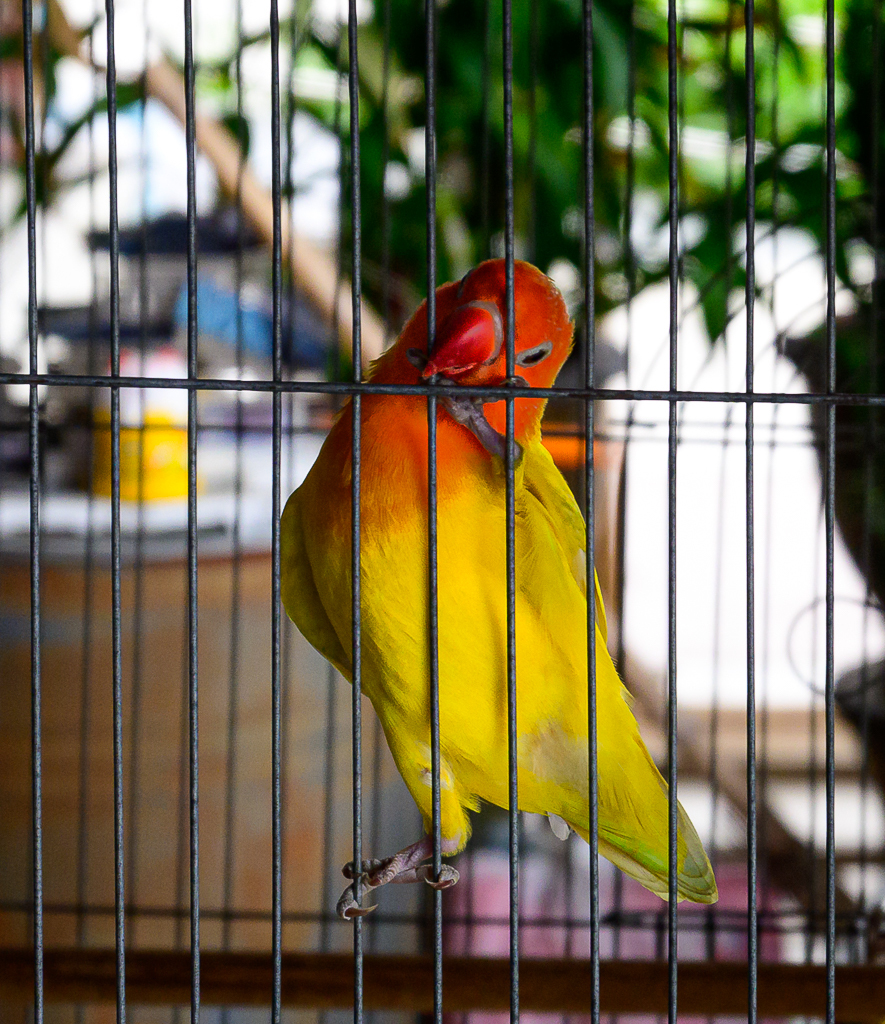 Click image for larger version

Name:	oh-1.jpg
Views:	103
Size:	954.4 KB
ID:	157366