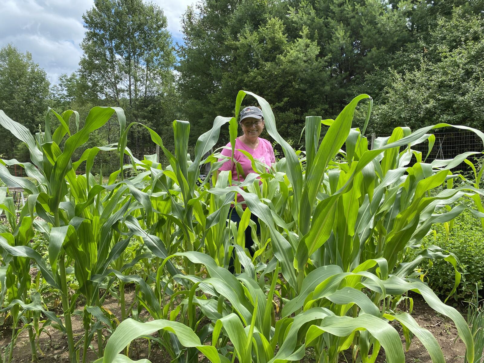 Click image for larger version

Name:	IMG_2586.JPG
Views:	72
Size:	526.8 KB
ID:	157686