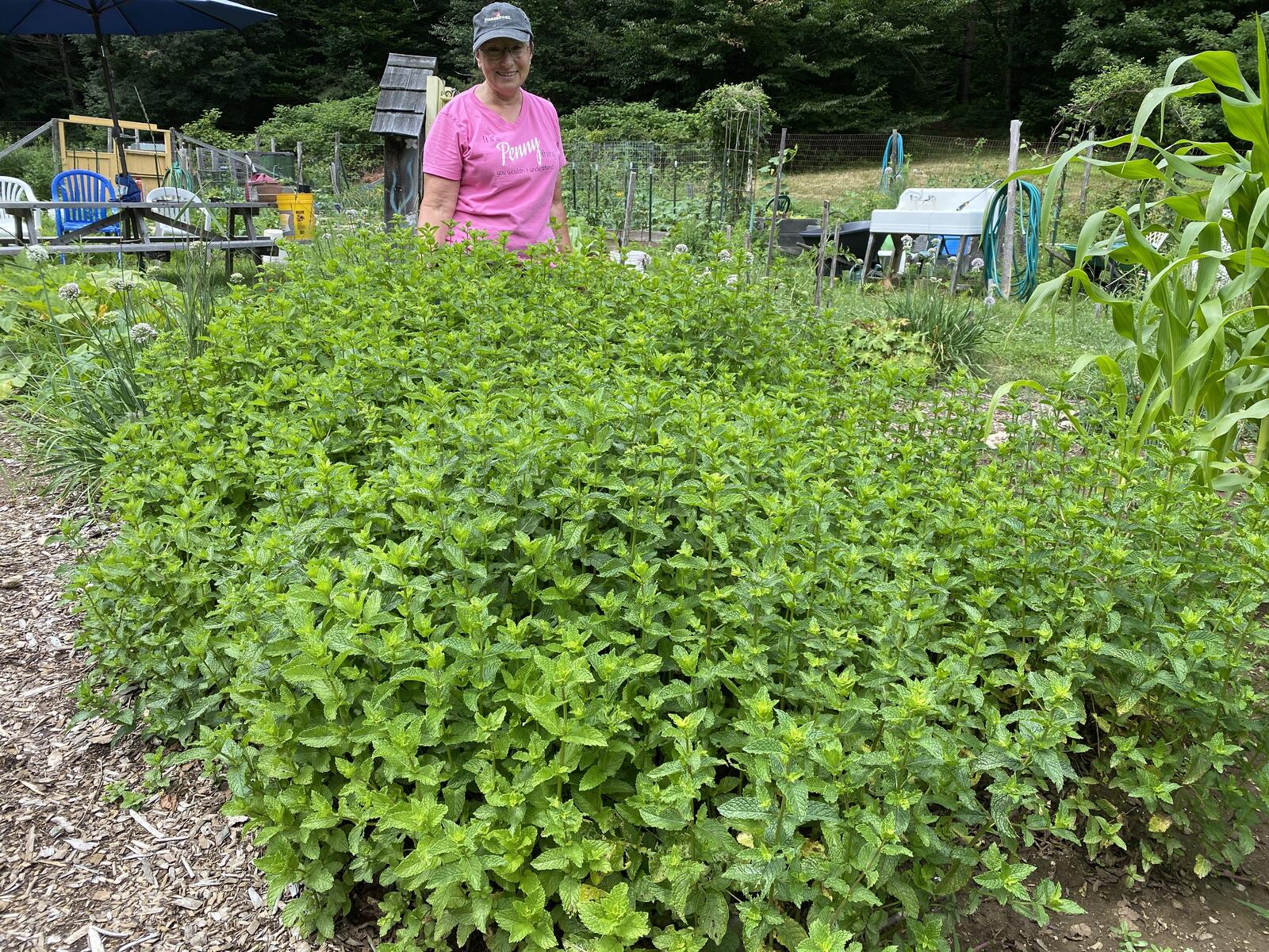 Click image for larger version

Name:	IMG_2587.JPG
Views:	75
Size:	671.6 KB
ID:	157687