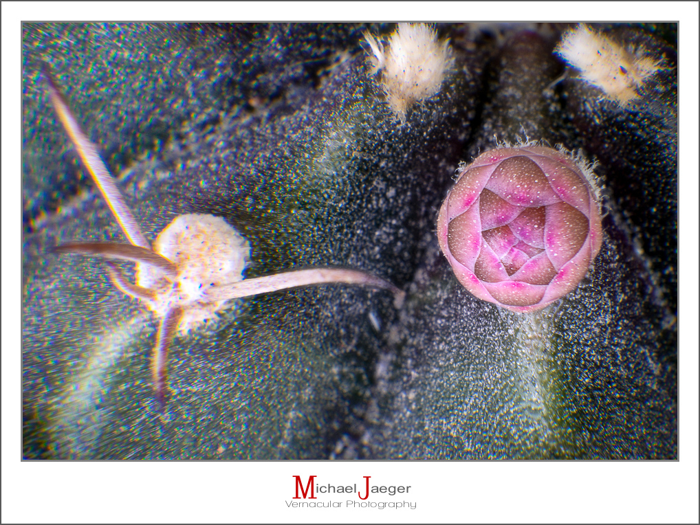 Click image for larger version

Name:	tiny-tiny-tiny-1.jpg
Views:	68
Size:	760.7 KB
ID:	157691