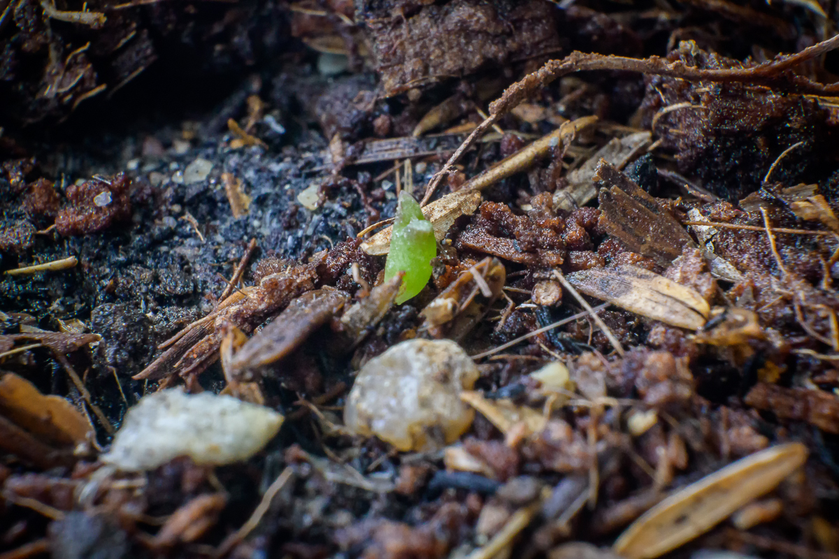 Click image for larger version

Name:	4-1.jpg
Views:	20
Size:	975.0 KB
ID:	157751