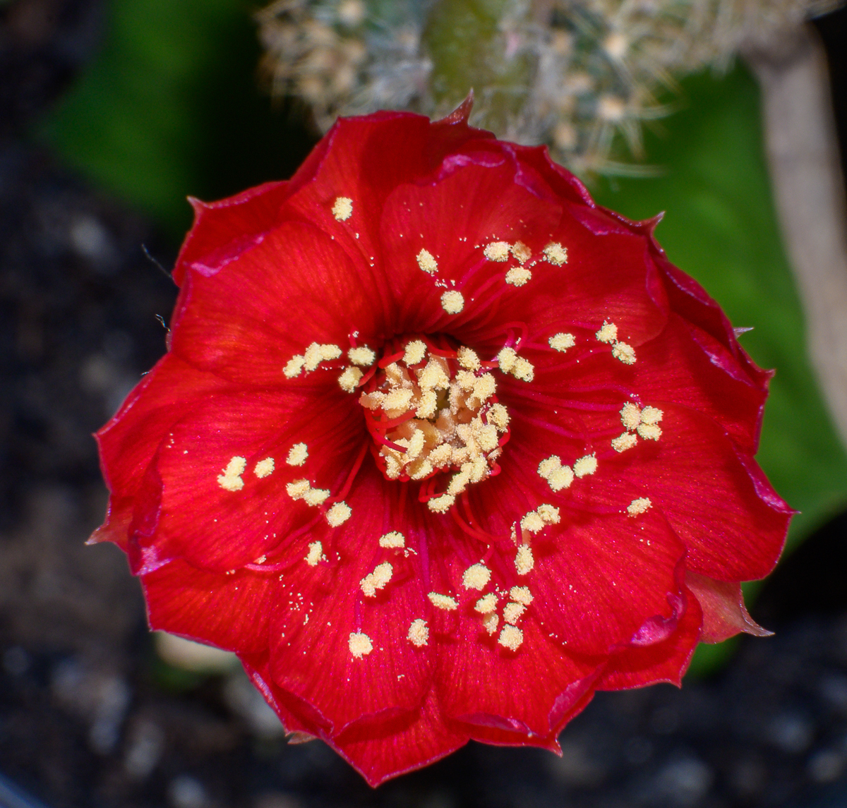 Click image for larger version

Name:	rot-3.jpg
Views:	64
Size:	1.31 MB
ID:	157771