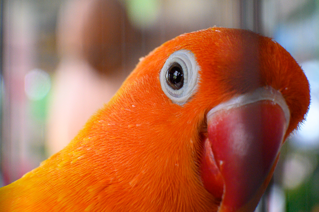 Click image for larger version

Name:	sim-1.jpg
Views:	94
Size:	851.9 KB
ID:	157775