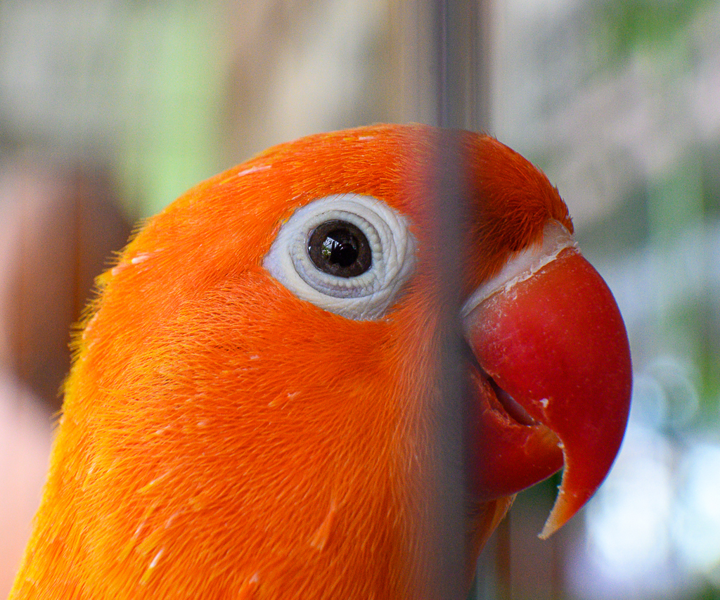 Click image for larger version

Name:	sim-3.jpg
Views:	79
Size:	1.22 MB
ID:	157776