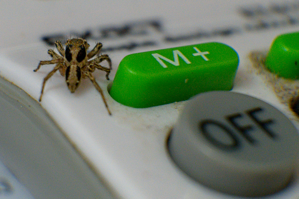 Click image for larger version

Name:	fast-1.jpg
Views:	112
Size:	1.02 MB
ID:	157779