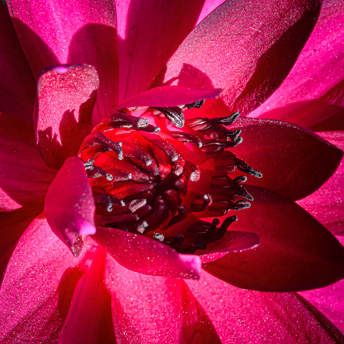 Click image for larger version

Name:	morning-1.jpg
Views:	53
Size:	1.69 MB
ID:	157830