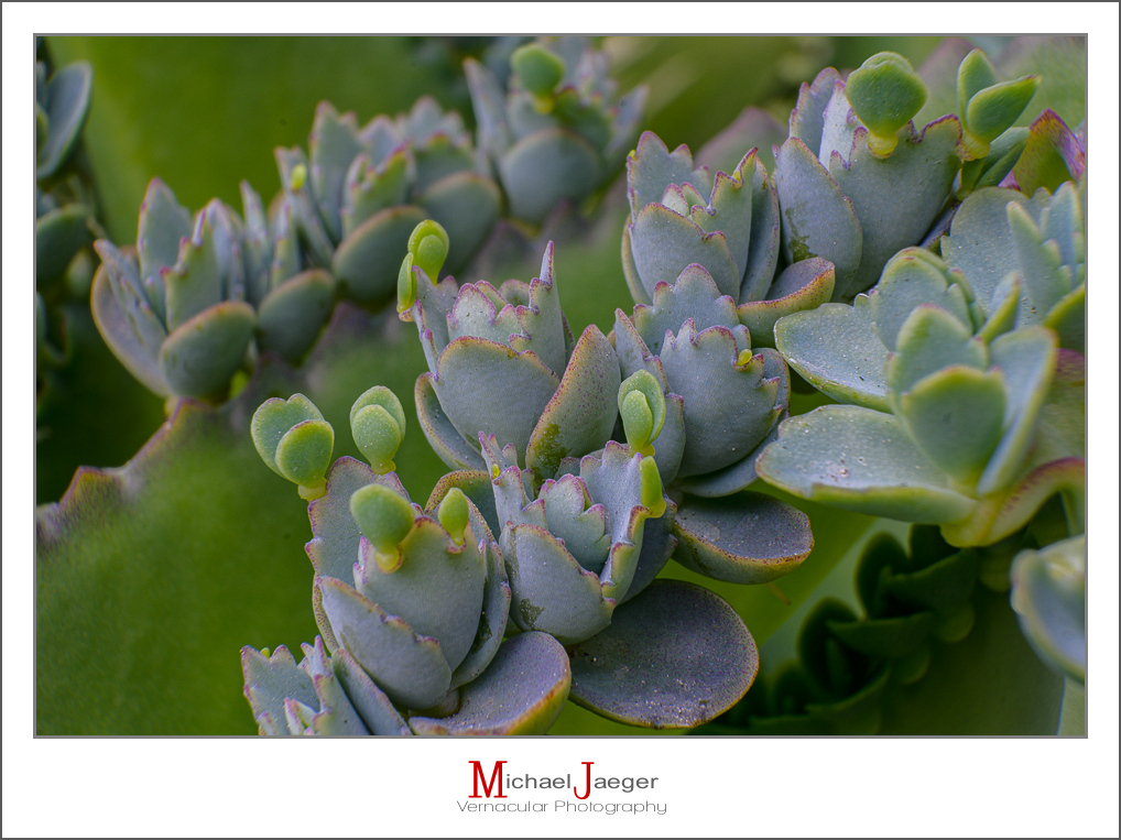 Click image for larger version

Name:	green-3.jpg
Views:	46
Size:	434.7 KB
ID:	157839