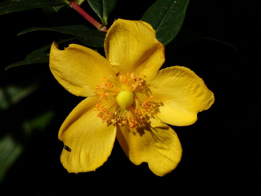 Click image for larger version

Name:	P1120258.jpg
Views:	58
Size:	174.1 KB
ID:	157846