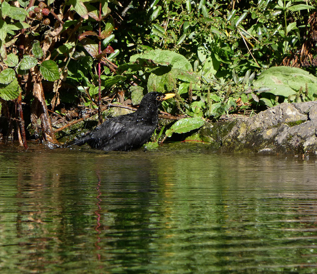 Click image for larger version

Name:	P1120250.jpg
Views:	20
Size:	374.0 KB
ID:	157853