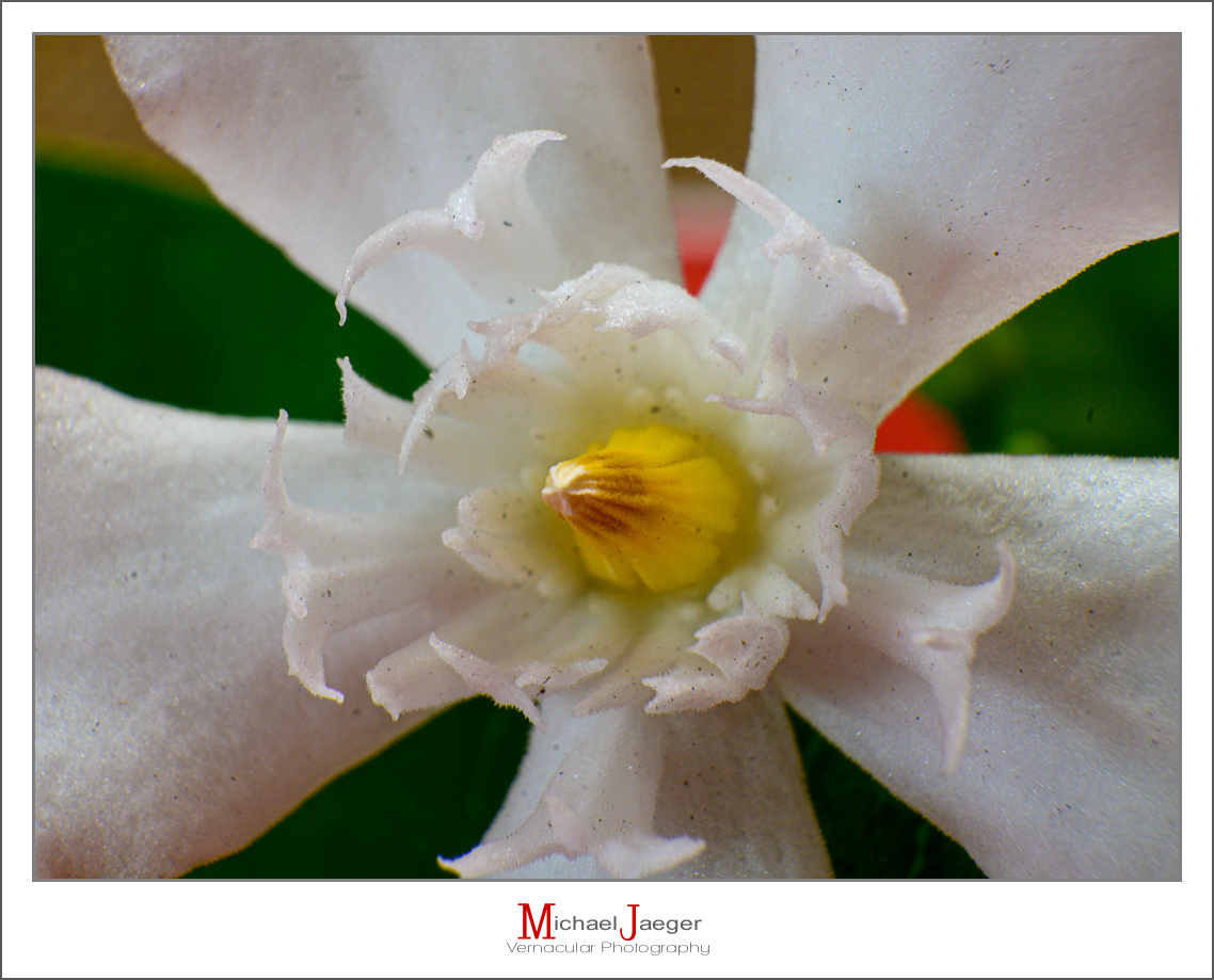 Click image for larger version

Name:	white-6.jpg
Views:	60
Size:	652.9 KB
ID:	157891