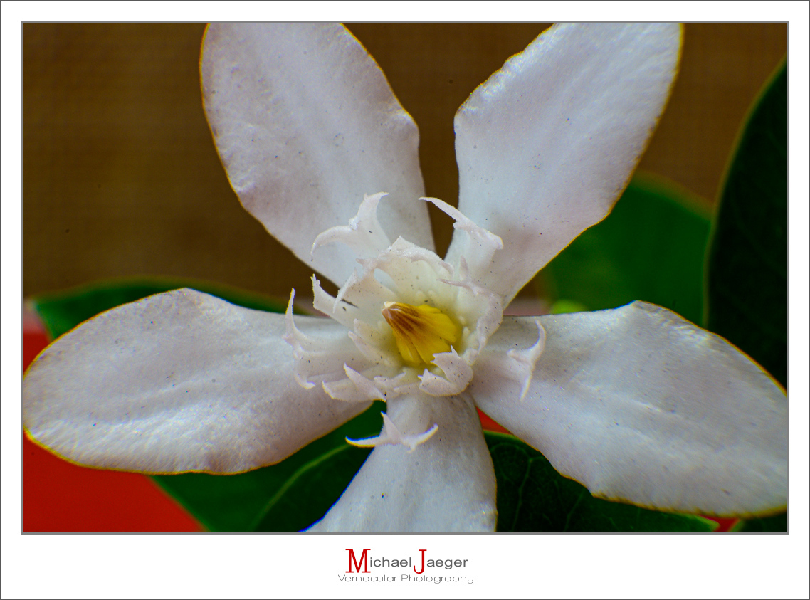 Click image for larger version

Name:	white-4.jpg
Views:	48
Size:	485.8 KB
ID:	157892