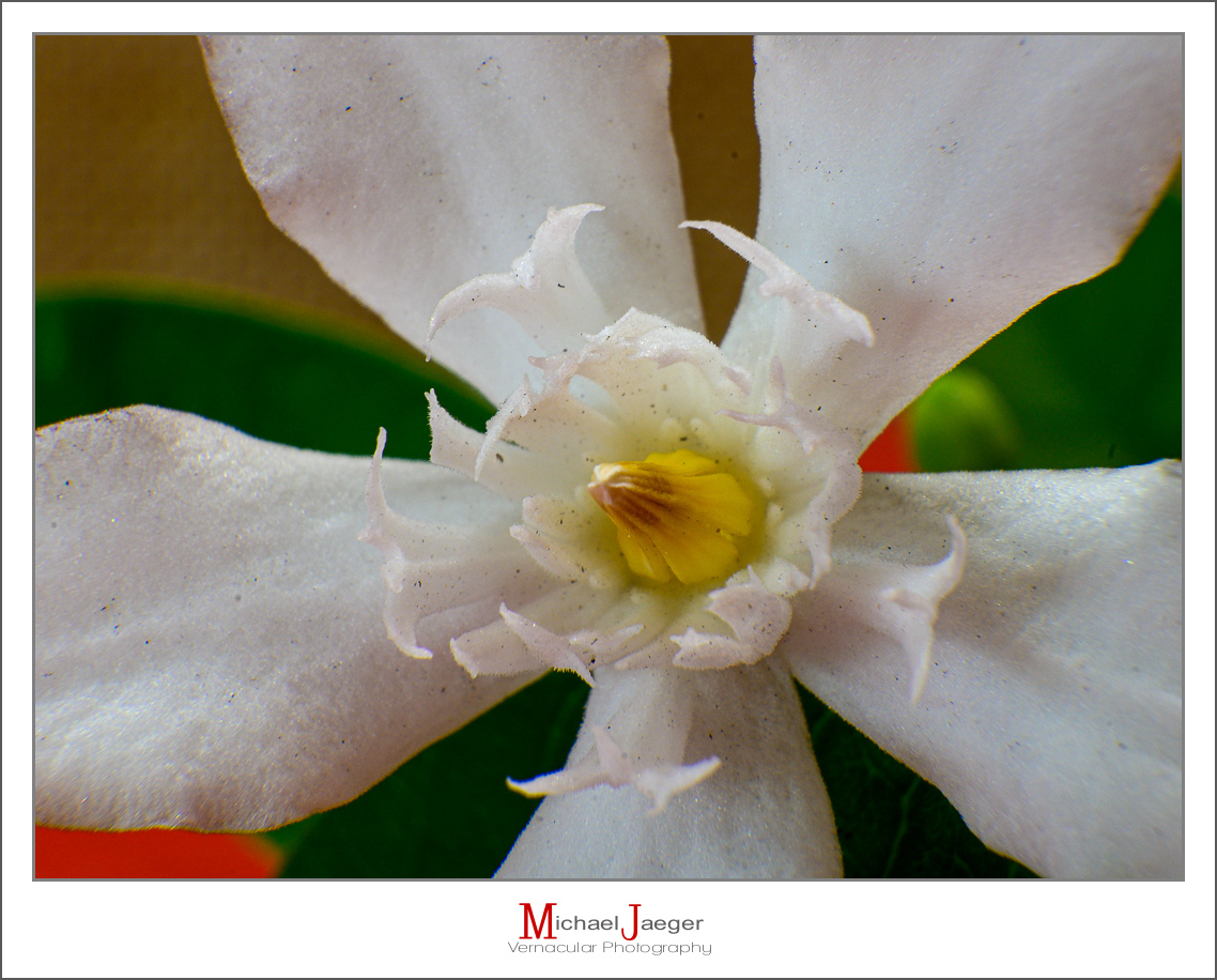 Click image for larger version

Name:	white-5.jpg
Views:	42
Size:	553.9 KB
ID:	157893