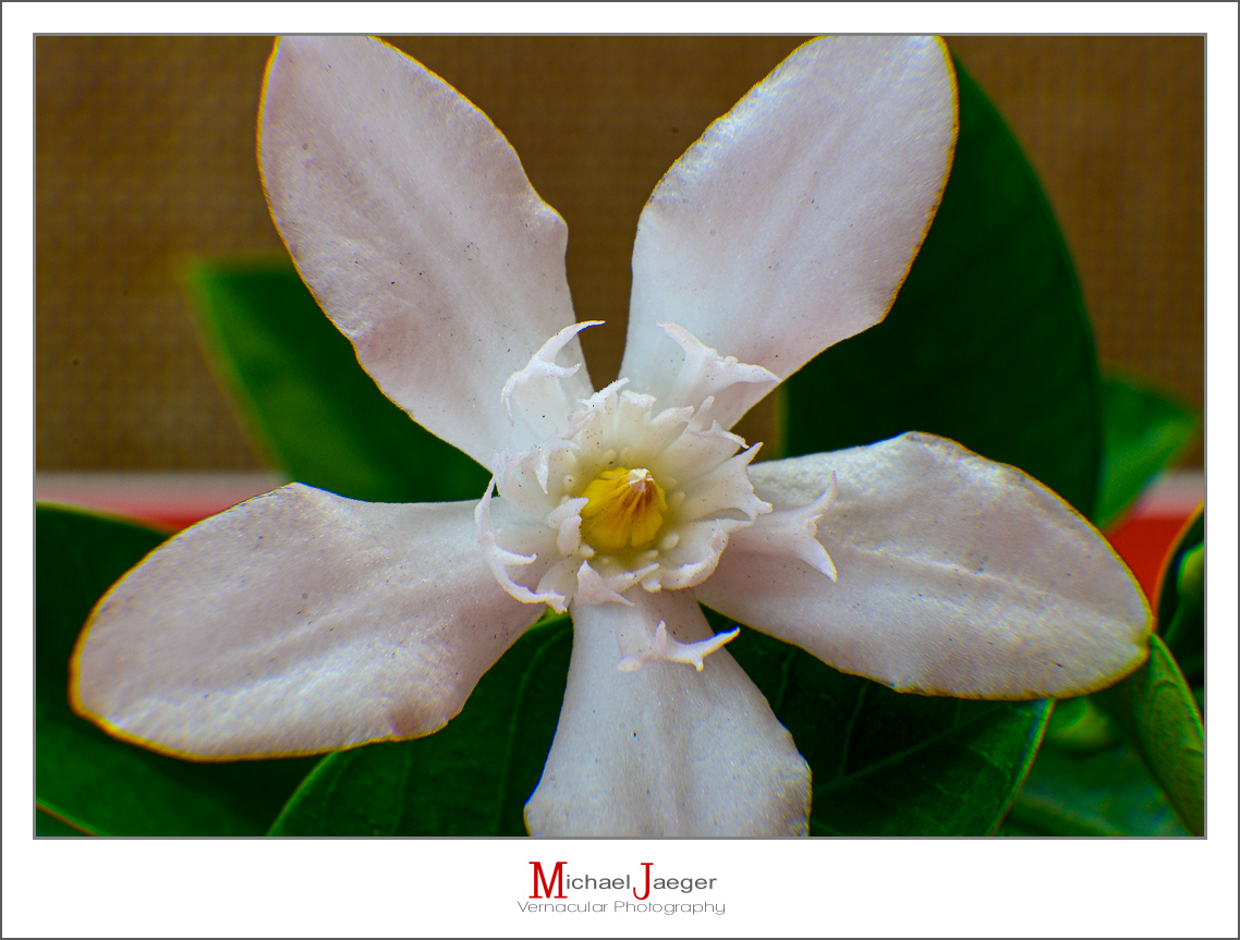 Click image for larger version

Name:	white-3.jpg
Views:	44
Size:	536.1 KB
ID:	157894