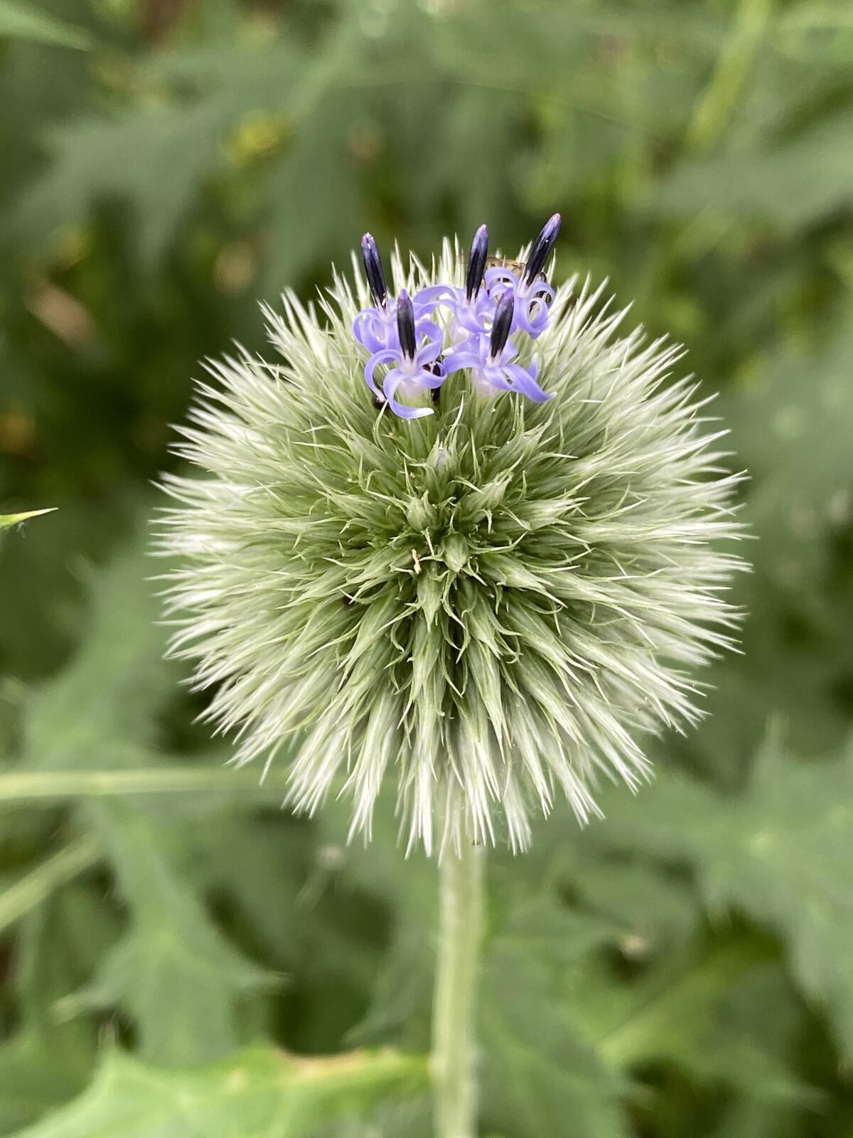 Click image for larger version

Name:	IMG_2809.JPG
Views:	49
Size:	201.8 KB
ID:	157905