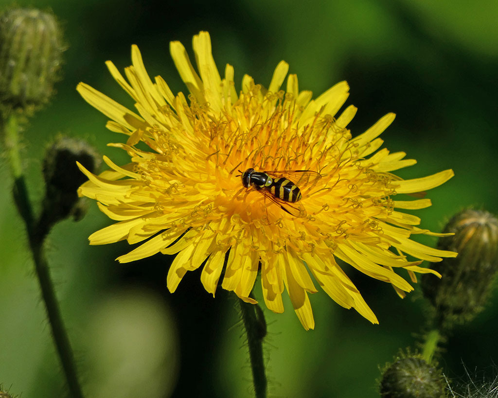 Click image for larger version

Name:	P1120263.jpg
Views:	65
Size:	220.3 KB
ID:	157917