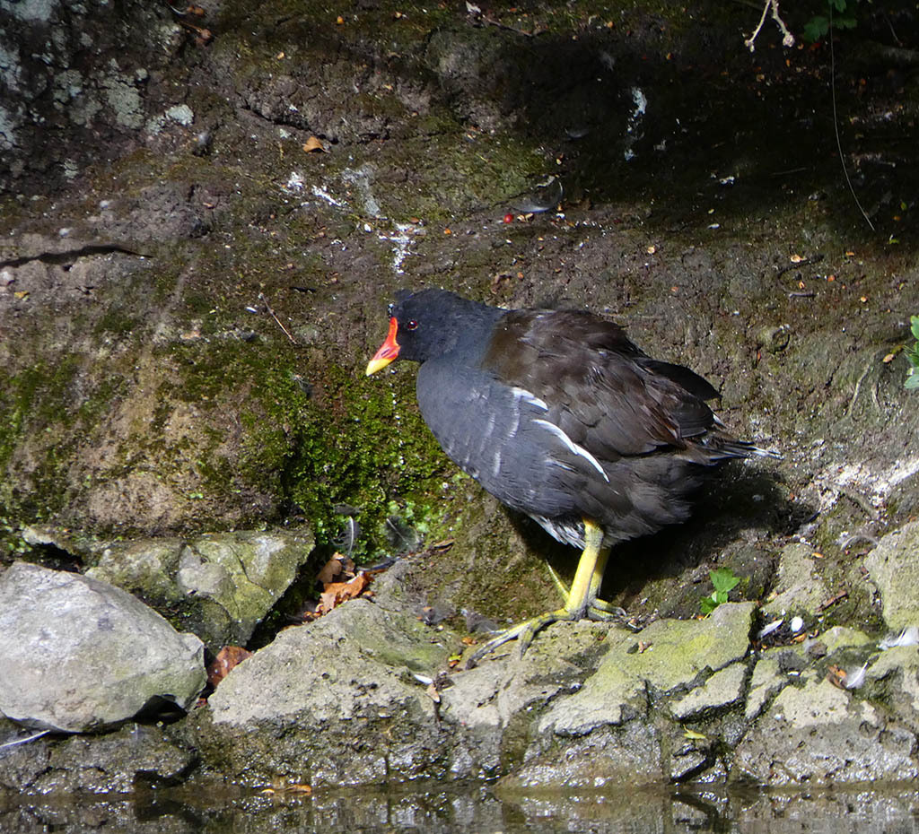 Click image for larger version

Name:	P1120412.jpg
Views:	33
Size:	379.6 KB
ID:	157922