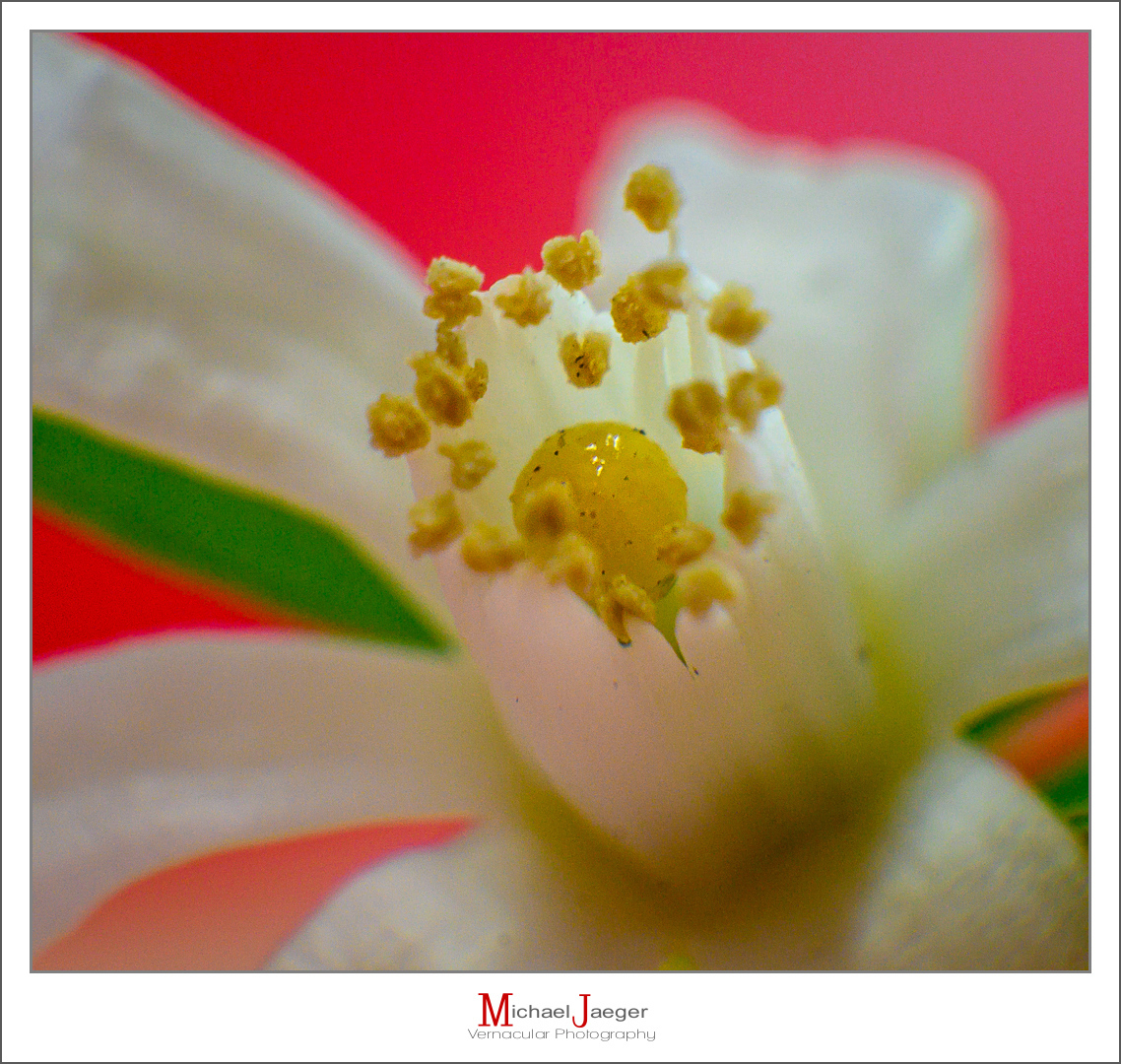 Click image for larger version

Name:	very-tiny-1.jpg
Views:	35
Size:	893.7 KB
ID:	157947