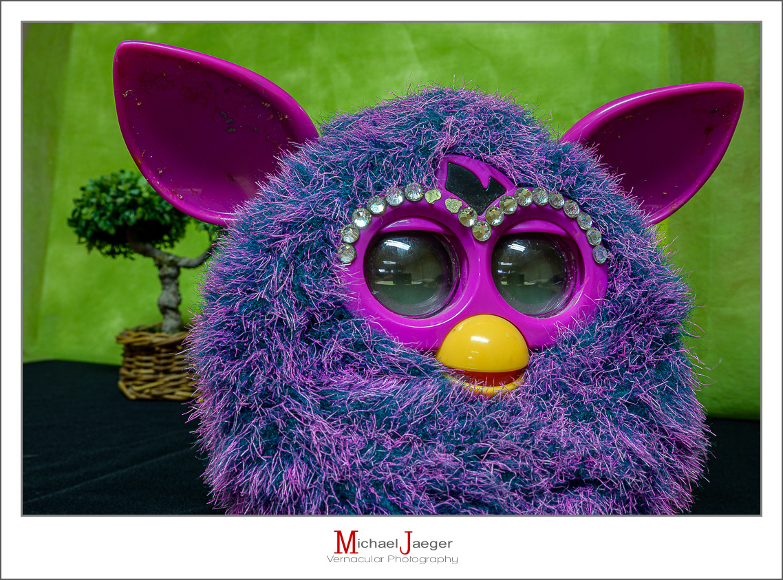 Click image for larger version

Name:	furby-1.jpg
Views:	65
Size:	850.9 KB
ID:	157949
