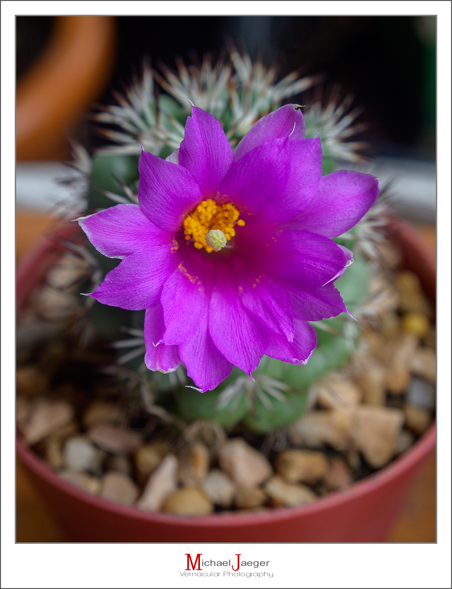 Click image for larger version

Name:	cmp-3.jpg
Views:	49
Size:	542.1 KB
ID:	157965