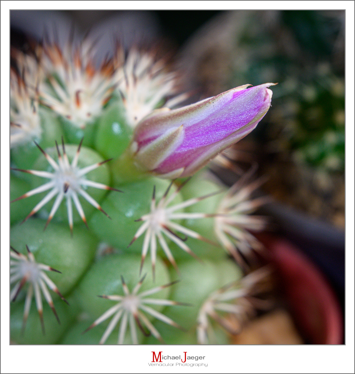 Click image for larger version

Name:	cmp-2.jpg
Views:	57
Size:	867.1 KB
ID:	157966