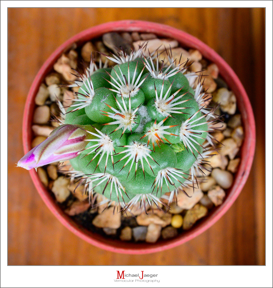 Click image for larger version

Name:	cmp-1.jpg
Views:	42
Size:	1.17 MB
ID:	157967