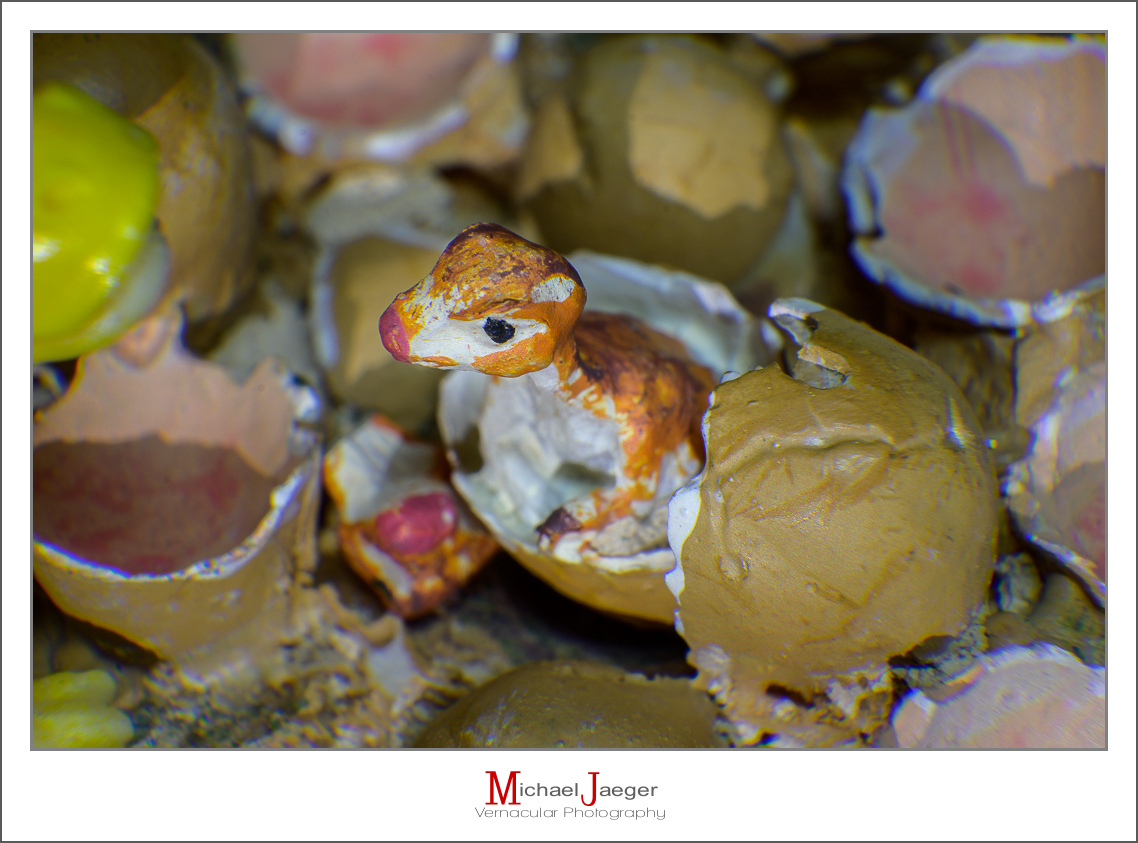 Click image for larger version

Name:	dragon-baby-1.jpg
Views:	60
Size:	474.3 KB
ID:	157969