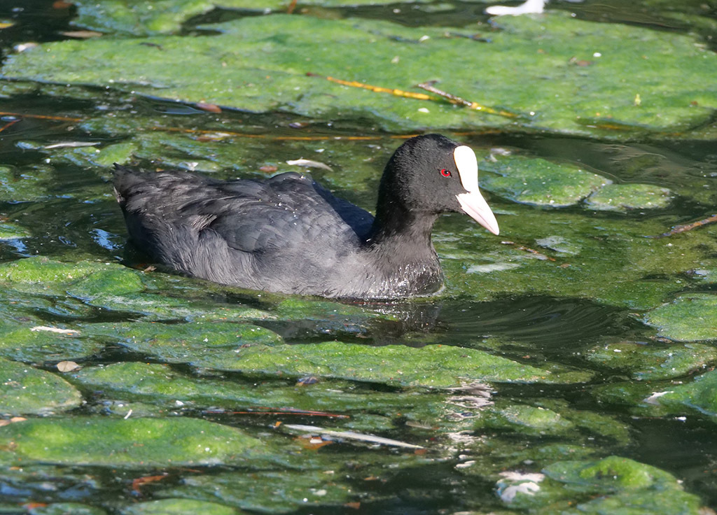 Click image for larger version

Name:	P1010109.jpg
Views:	69
Size:	314.2 KB
ID:	157987