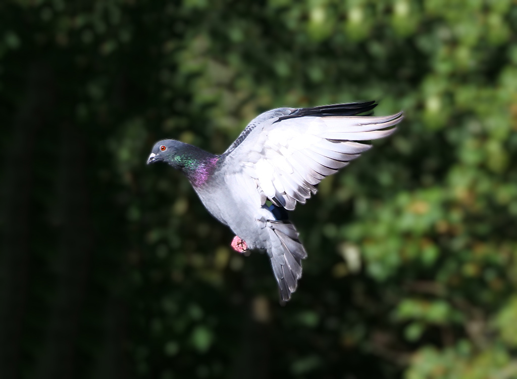 Click image for larger version

Name:	P1010114.jpg
Views:	75
Size:	201.0 KB
ID:	157988