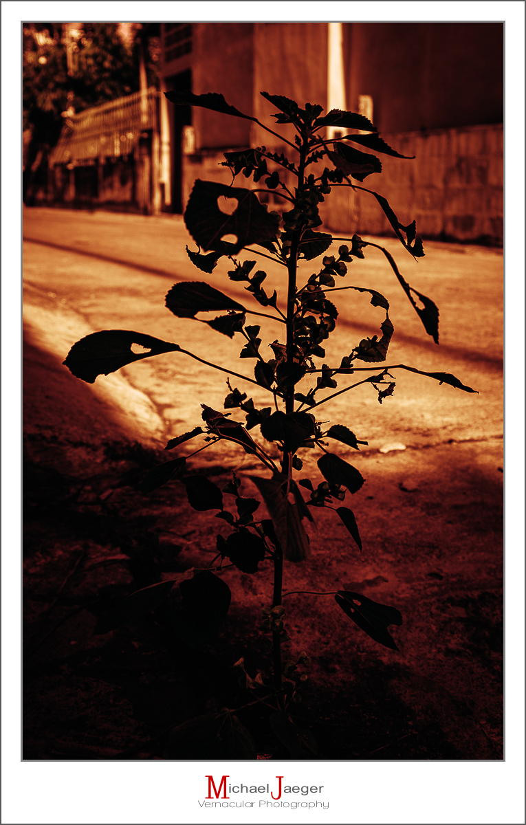 Click image for larger version

Name:	evening-1-2.jpg
Views:	60
Size:	564.3 KB
ID:	158020