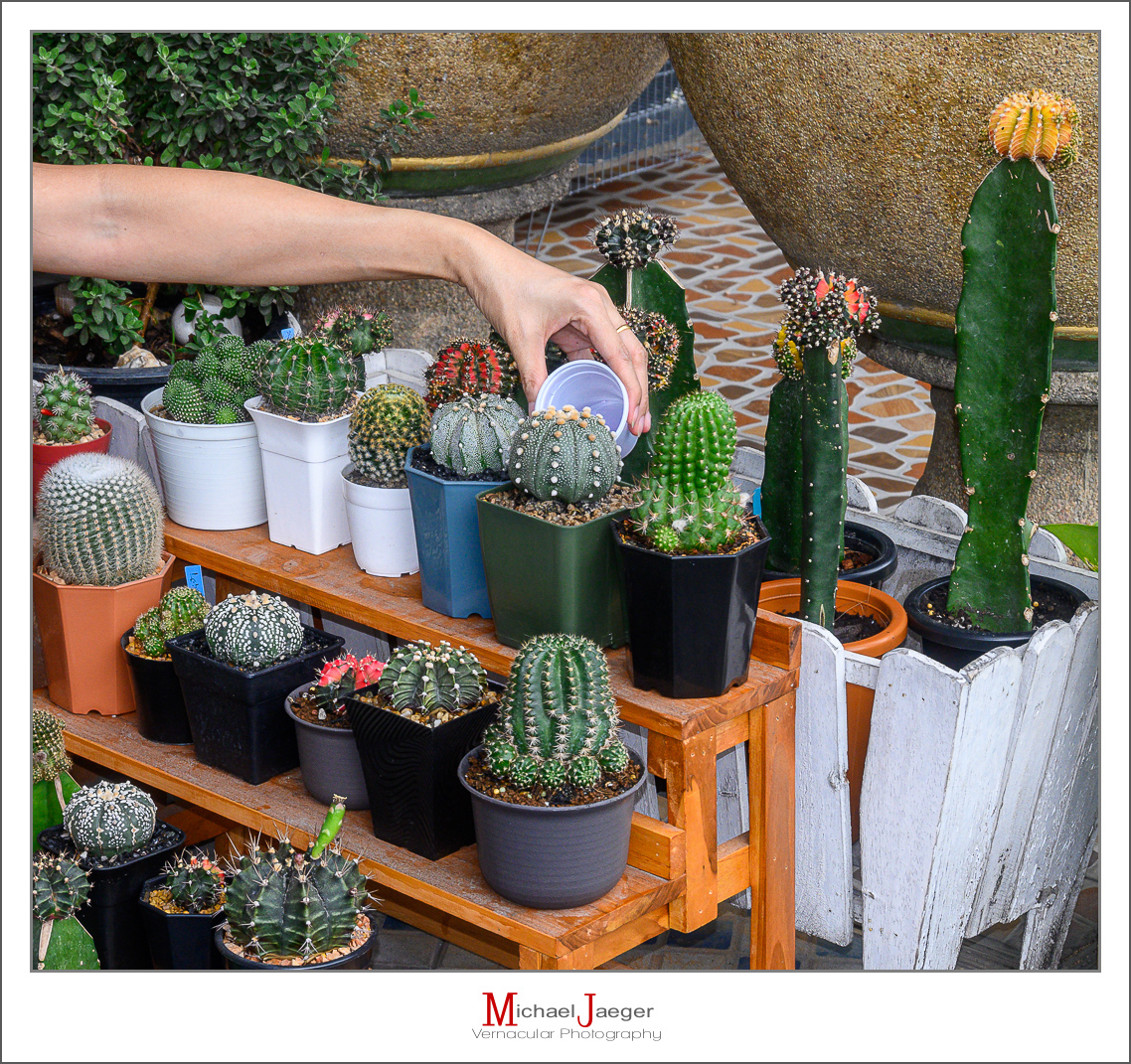 Click image for larger version

Name:	watering-1.jpg
Views:	60
Size:	1.16 MB
ID:	158040