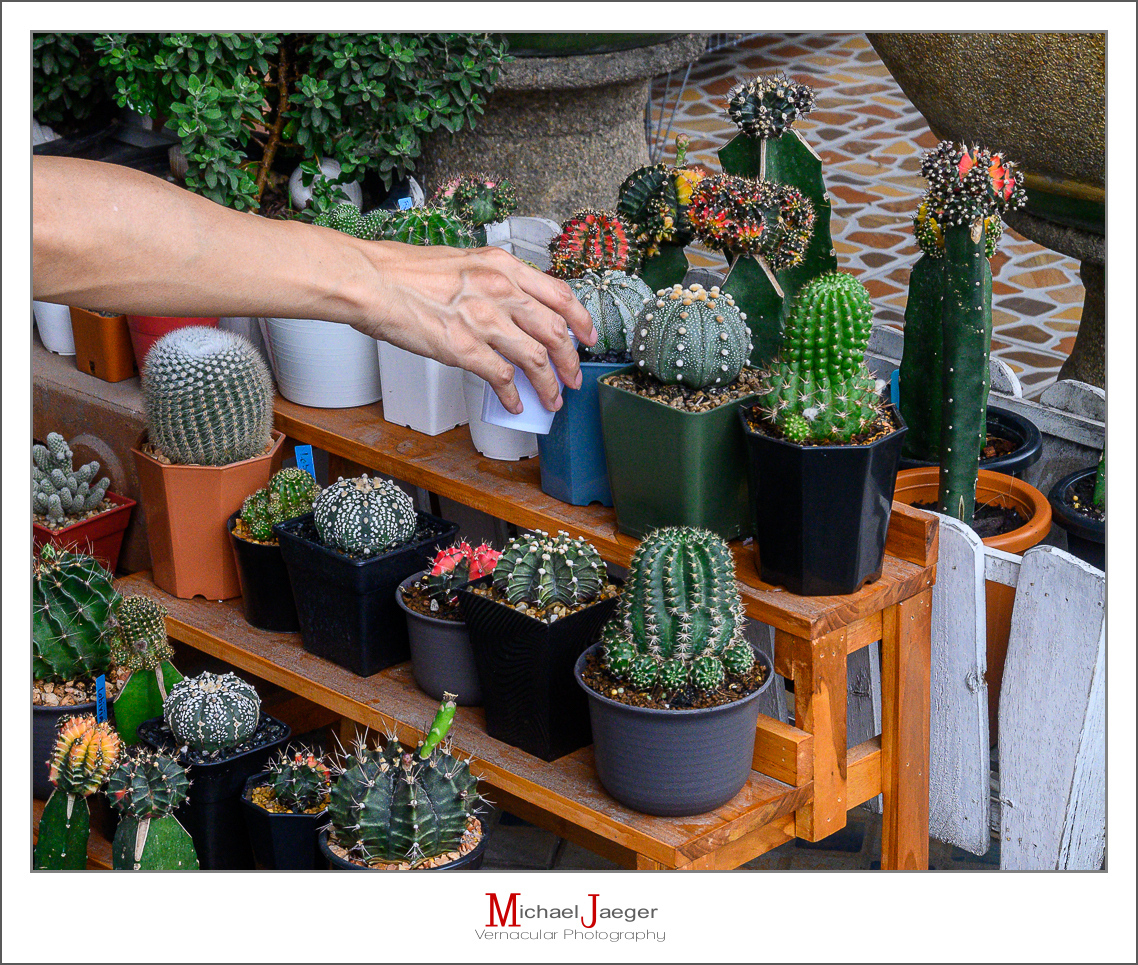 Click image for larger version

Name:	watering-2.jpg
Views:	57
Size:	1.09 MB
ID:	158041