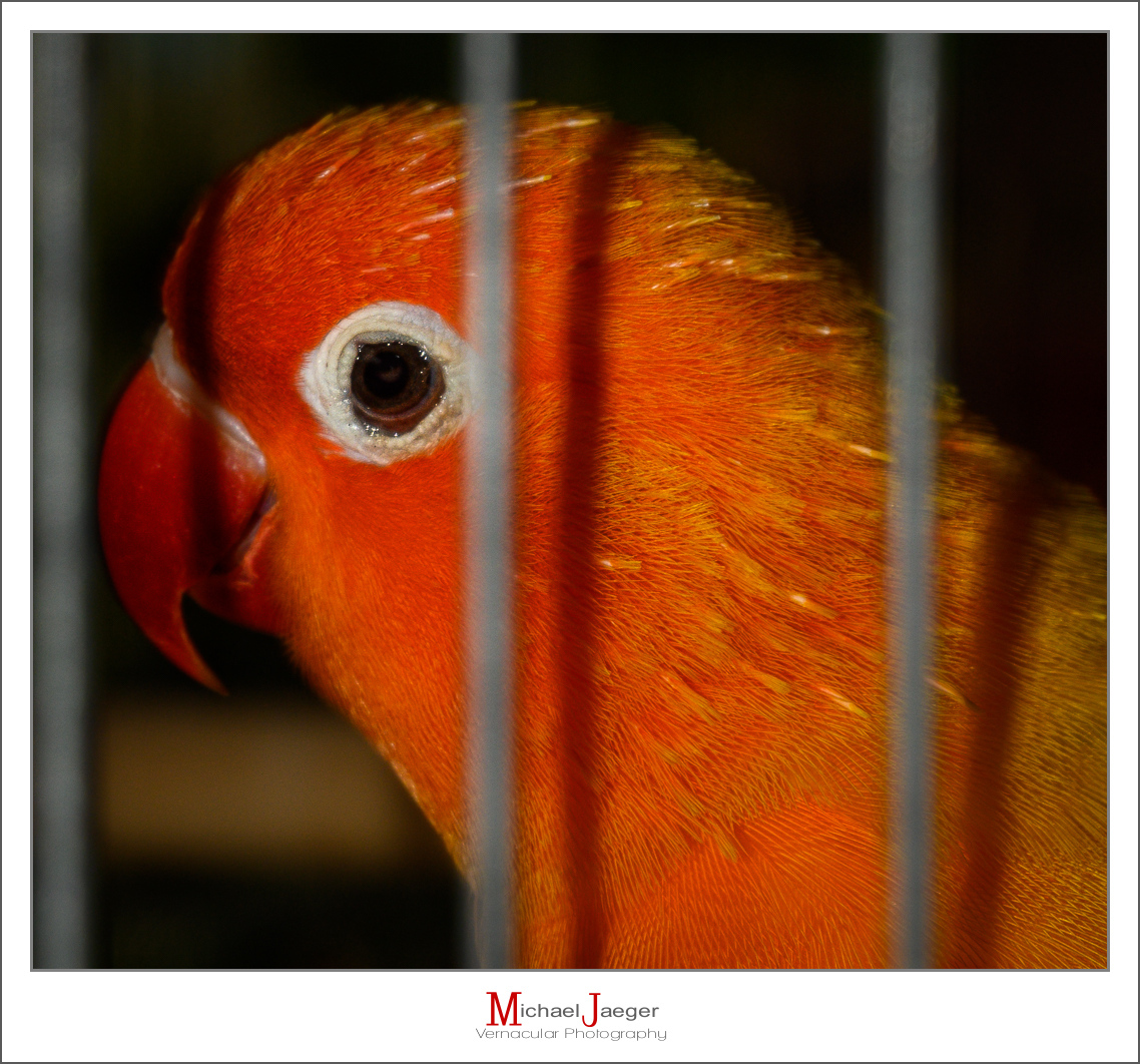 Click image for larger version

Name:	eye-1-3.jpg
Views:	56
Size:	737.1 KB
ID:	158043