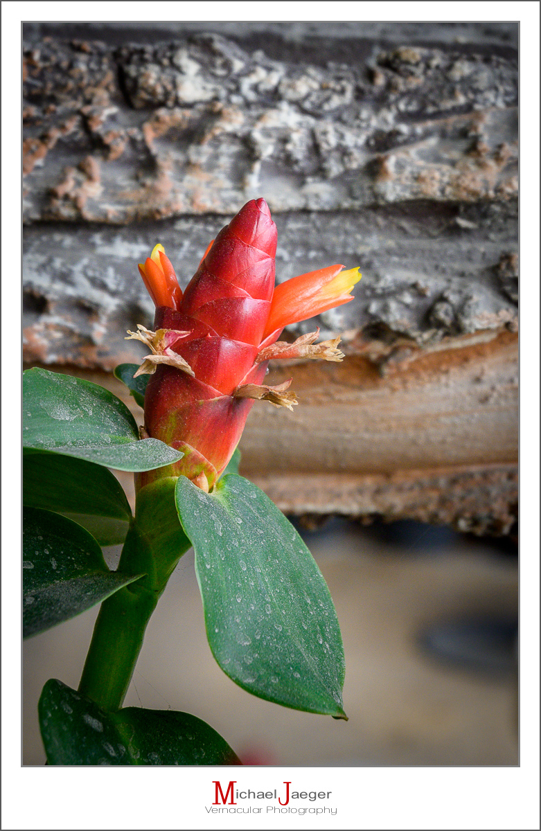 Click image for larger version

Name:	rewd-2.jpg
Views:	51
Size:	726.2 KB
ID:	158116