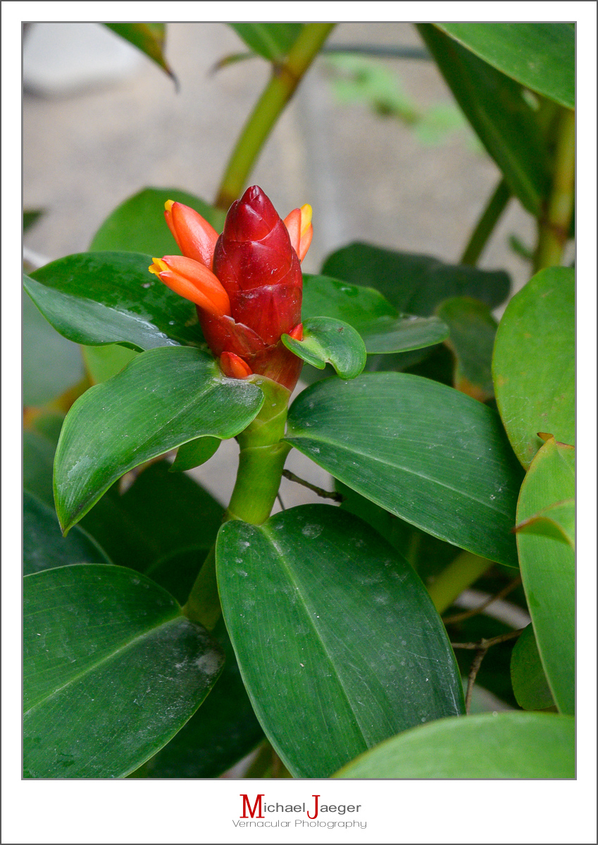 Click image for larger version

Name:	rewd-1.jpg
Views:	57
Size:	728.9 KB
ID:	158117