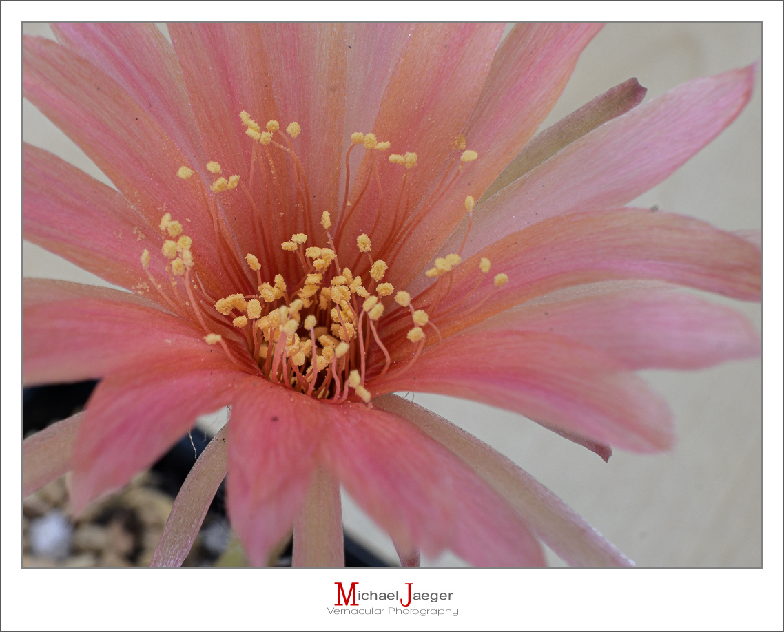 Click image for larger version

Name:	near-3.jpg
Views:	54
Size:	491.4 KB
ID:	158125