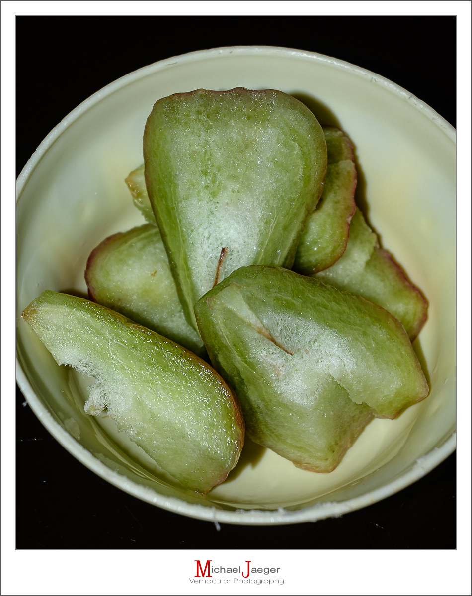 Click image for larger version

Name:	rose-apple-1-2.jpg
Views:	64
Size:	594.1 KB
ID:	158135