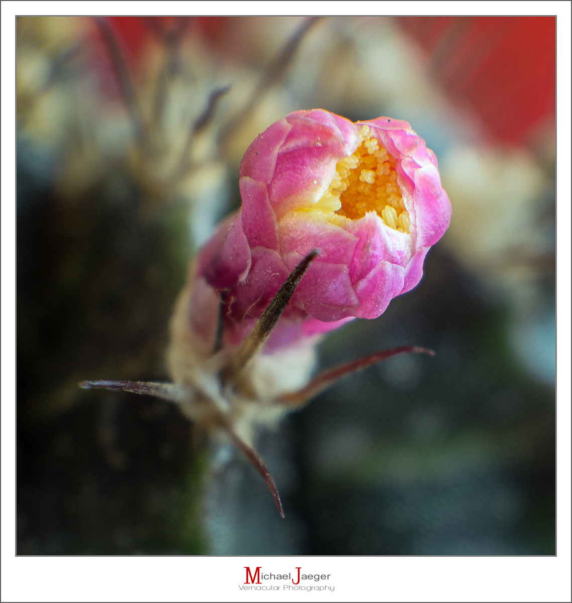 Click image for larger version

Name:	very-tiiiinnnyytyy-1.jpg
Views:	46
Size:	562.8 KB
ID:	158182