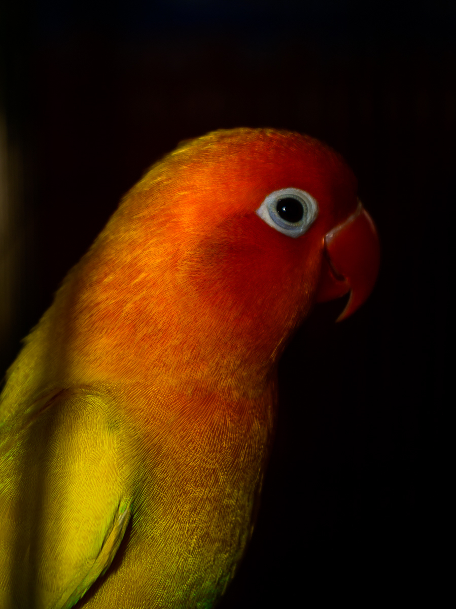 Click image for larger version

Name:	mr-sim-5.jpg
Views:	59
Size:	721.2 KB
ID:	158216