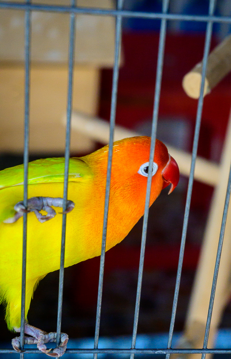 Click image for larger version

Name:	mr-sim-3.jpg
Views:	66
Size:	989.8 KB
ID:	158217