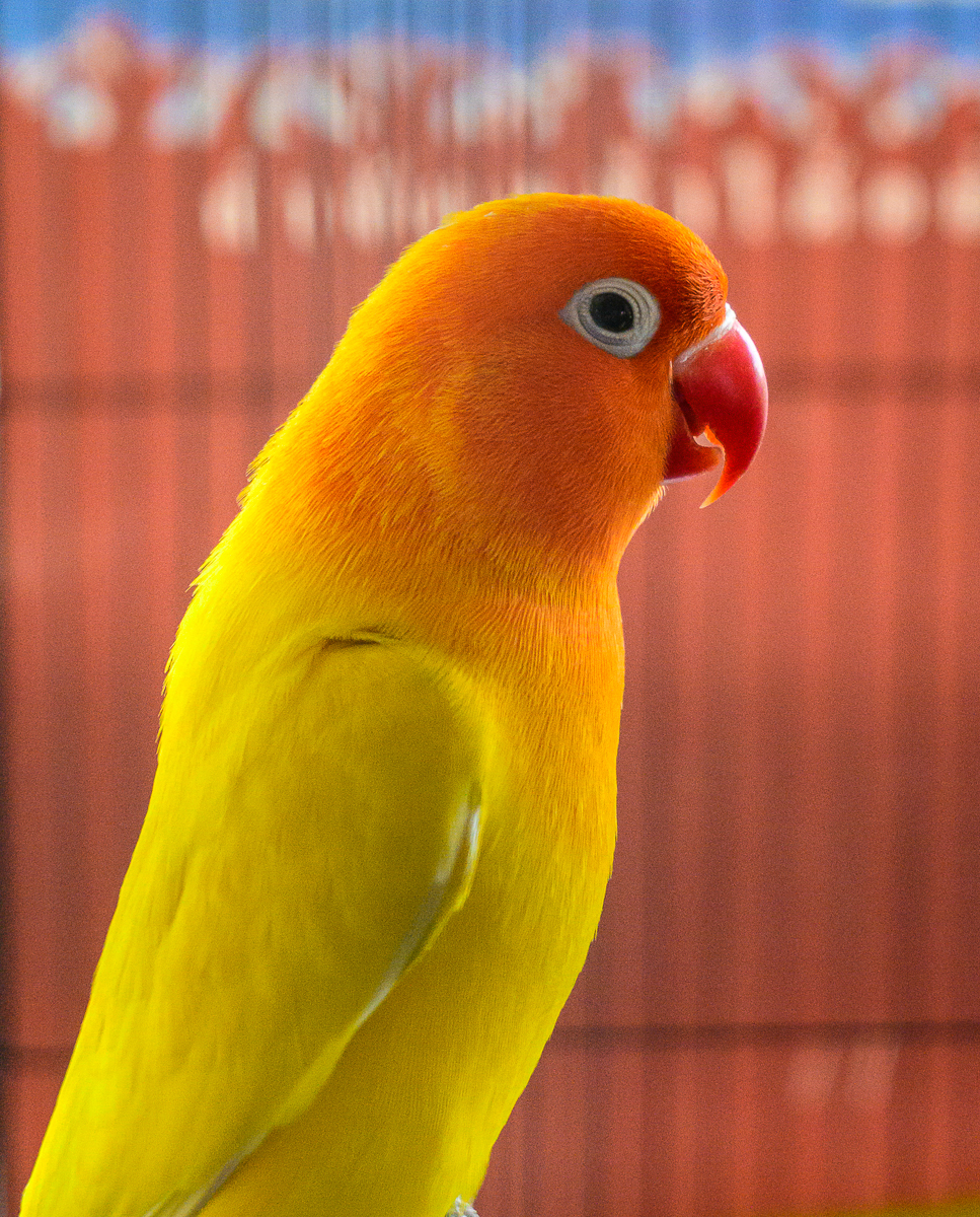 Click image for larger version

Name:	mr-sim-6.jpg
Views:	71
Size:	1.43 MB
ID:	158218