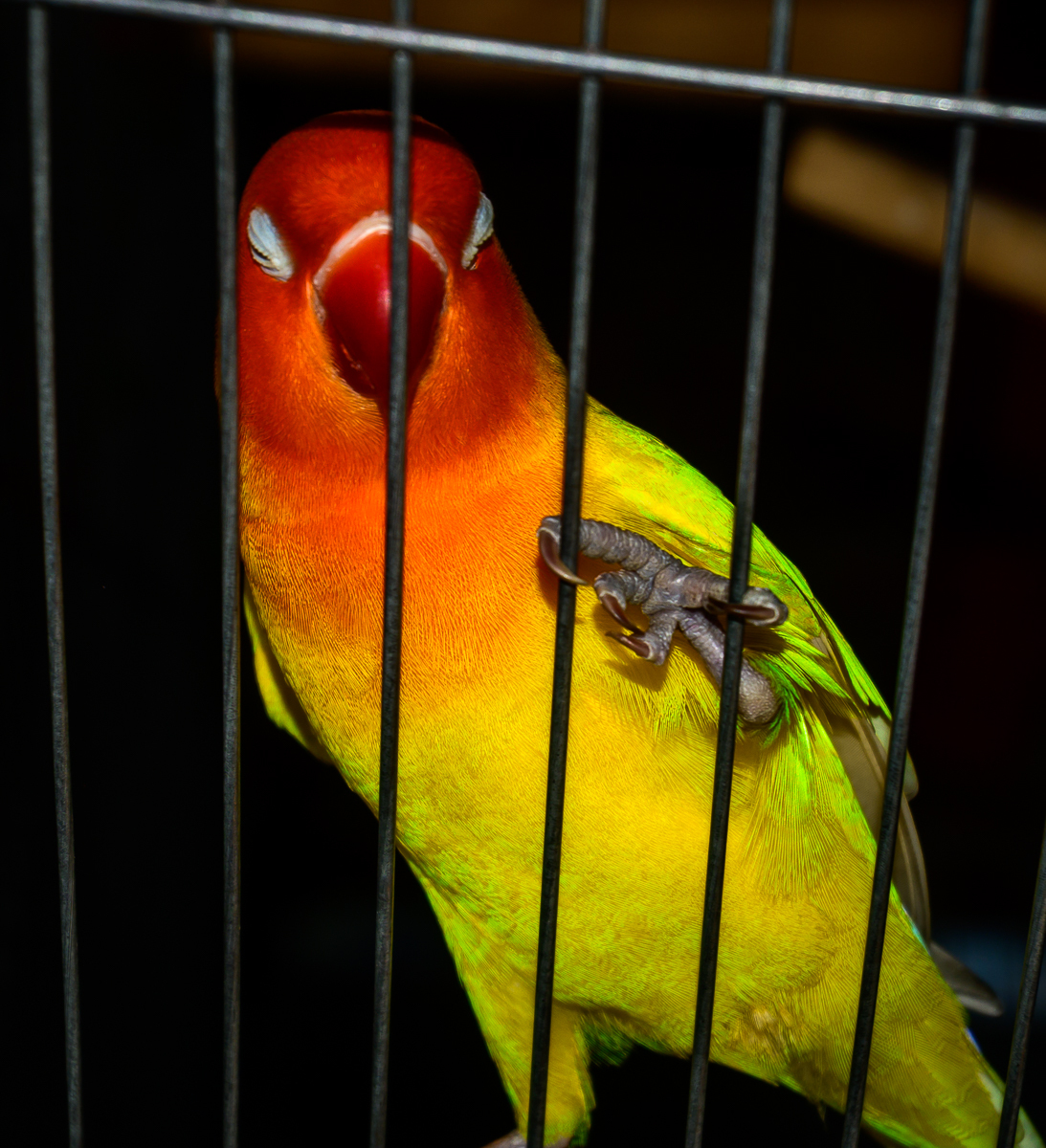 Click image for larger version

Name:	mr-sim-1.jpg
Views:	64
Size:	983.3 KB
ID:	158219